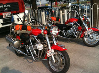 Visualizza l'immagine nelle dimensioni originali