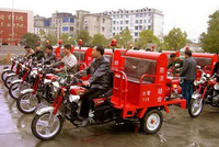 Visualizza l'immagine nelle dimensioni originali