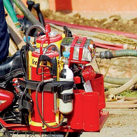 Visualizza l'immagine nelle dimensioni originali