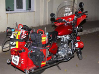 Visualizza l'immagine nelle dimensioni originali