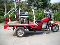 Visualizza l'immagine nelle dimensioni originali