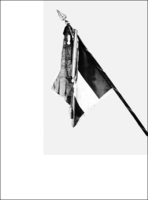 Visualizza l'immagine nelle dimensioni originali