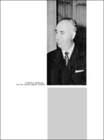 Visualizza l'immagine nelle dimensioni originali