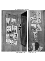 Visualizza l'immagine nelle dimensioni originali