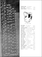 Visualizza l'immagine nelle dimensioni originali