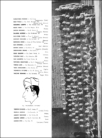 Visualizza l'immagine nelle dimensioni originali