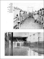 Visualizza l'immagine nelle dimensioni originali