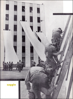 Visualizza l'immagine nelle dimensioni originali