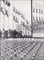 Visualizza l'immagine nelle dimensioni originali